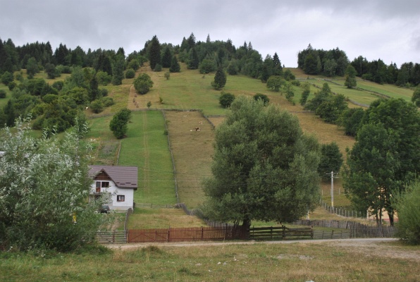 60. Pastviny v Poianě Micului